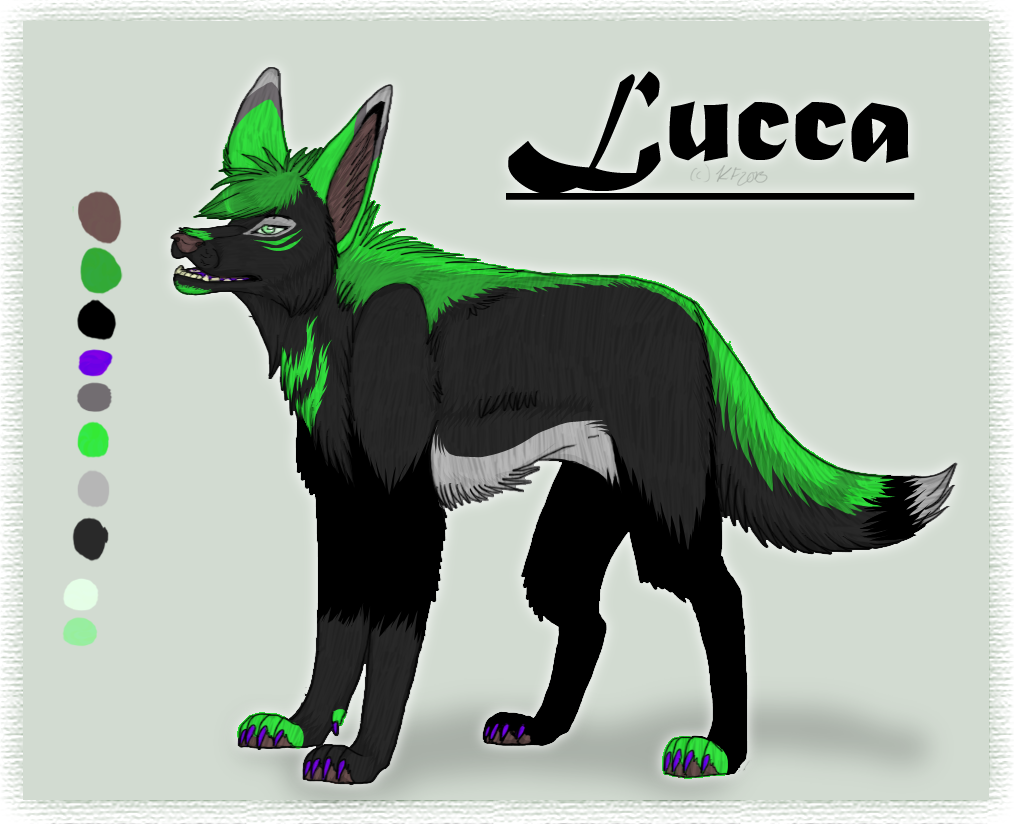 .: Lucca Reference Sheet + Speed Paint :.