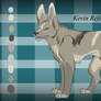 Kevin Reference Sheet 2013