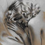 Studio 1930 | The Curl - 2026-07-15