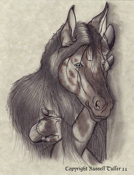 Anthro Paint Horse Portrait