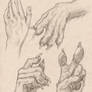 Anthropomorphic Wolf Hand Study