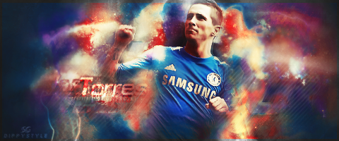 Fernando Torres Speak English