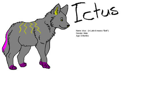 Ictus