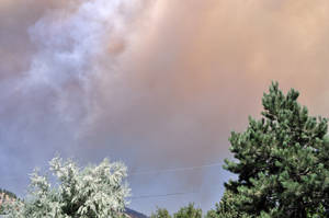 FourMile Fire 002