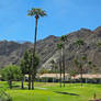 Mountains in the Desert