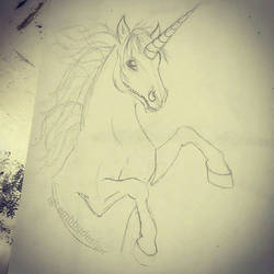 Unicorn sketch