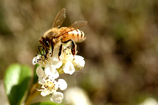 N-aster - Hobbyist, Photographer | DeviantArt