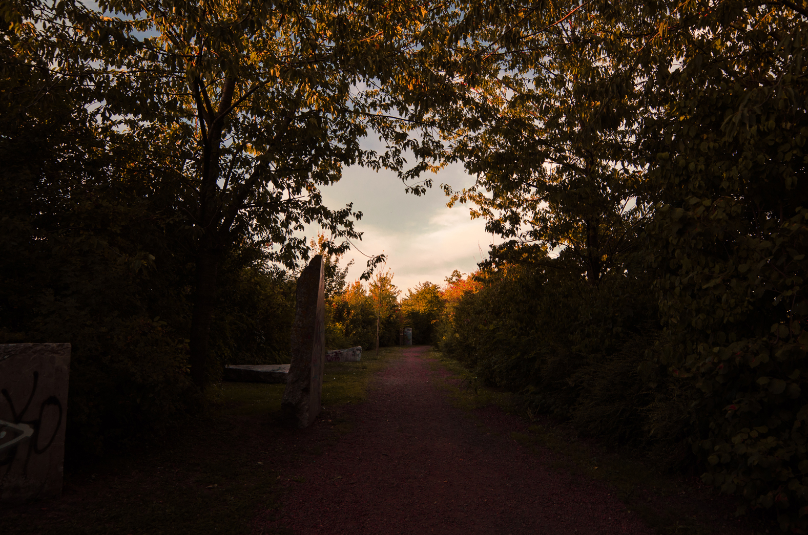 Le petit chemin