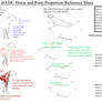 Basic Horse Anatomy Reference