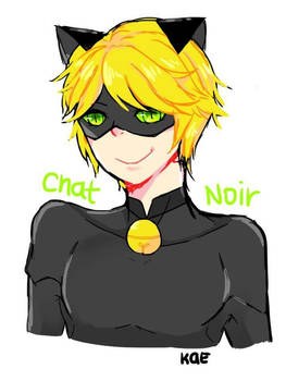 Chat Noir