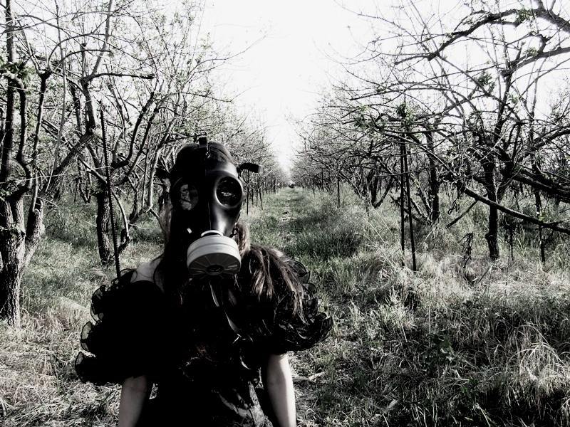 gas mask 3