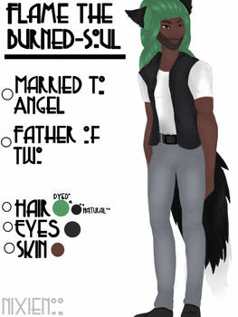 :Reference Sheet: Flame the Burned-Soul