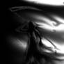 the reaper