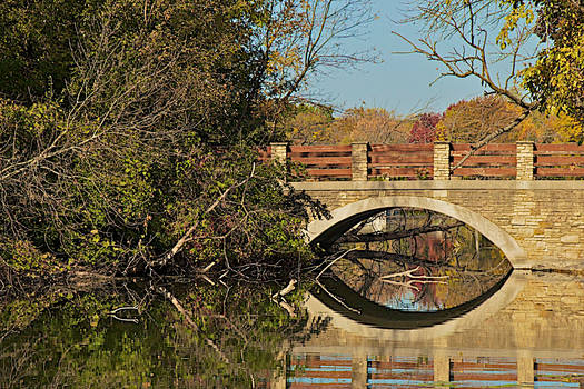 Fall Reflections