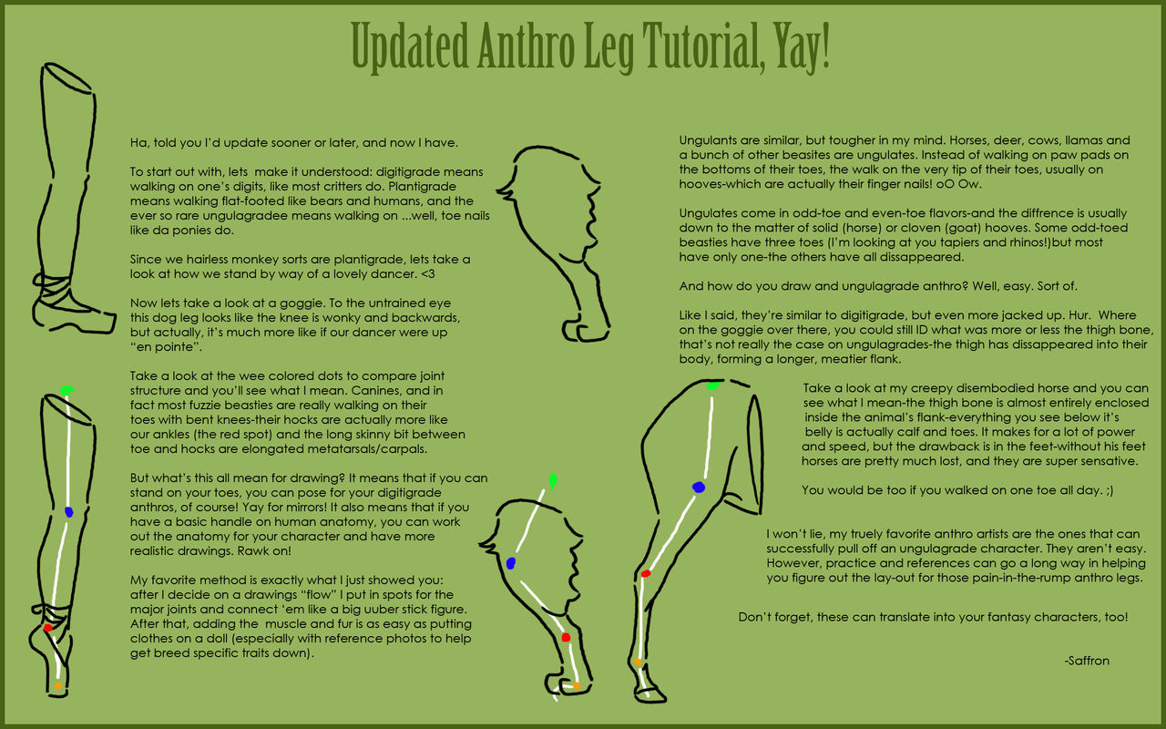 Leg Turorial Anthro Leg Tutorial by saffron-gryphon on DeviantArt
