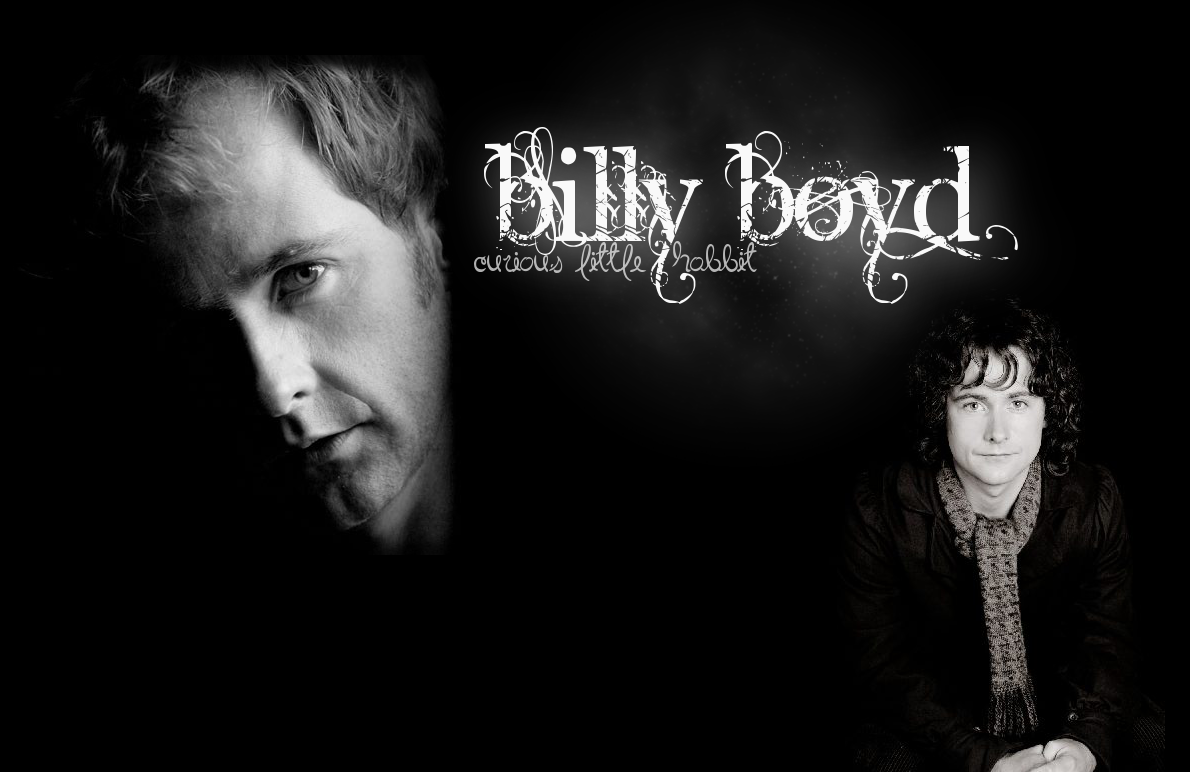 Billy Boyd Wallpaper