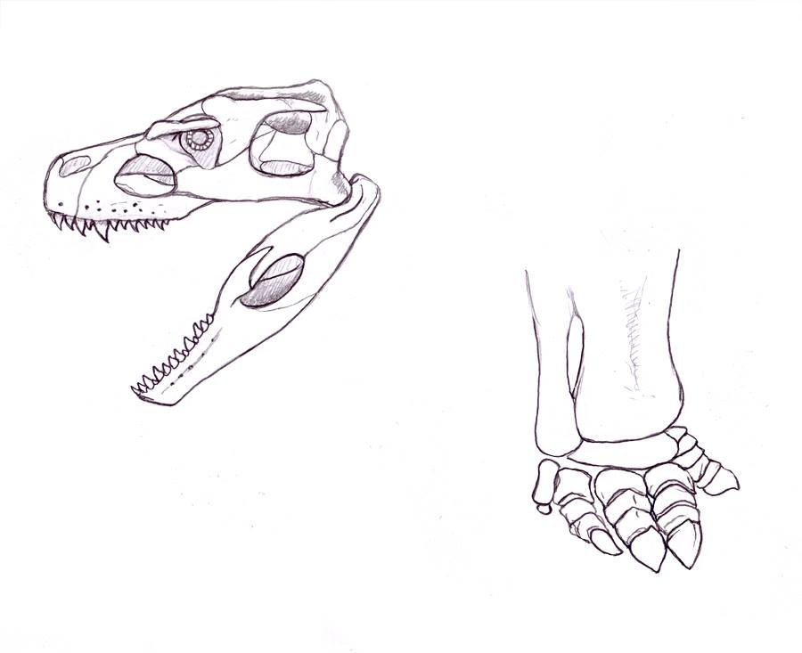Godzilla 2014 Skull and Foot Bones