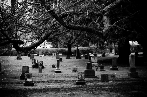 .evergreen cemetery 1.