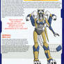 MTMTE Entry - Aurora