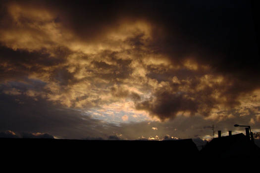 71 of 366 - Black Roots and The Sunset