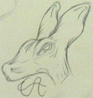 Royal Hare sketch