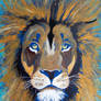 Lion of Judah - Aslan