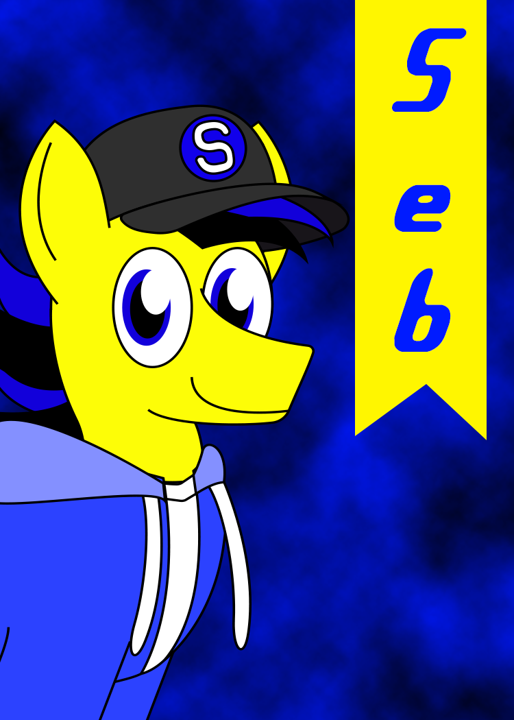 Seb Card by wildstar27 on DeviantArt