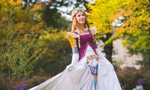 Princess Zelda 5