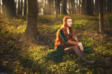 Tauriel 2