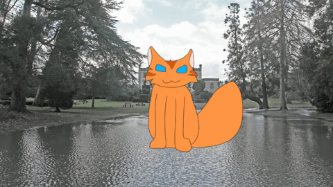 Cat Animation by camerajaguar on DeviantArt