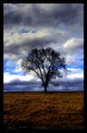 ..::Stand Alone::.. by Roses-to-Ashes