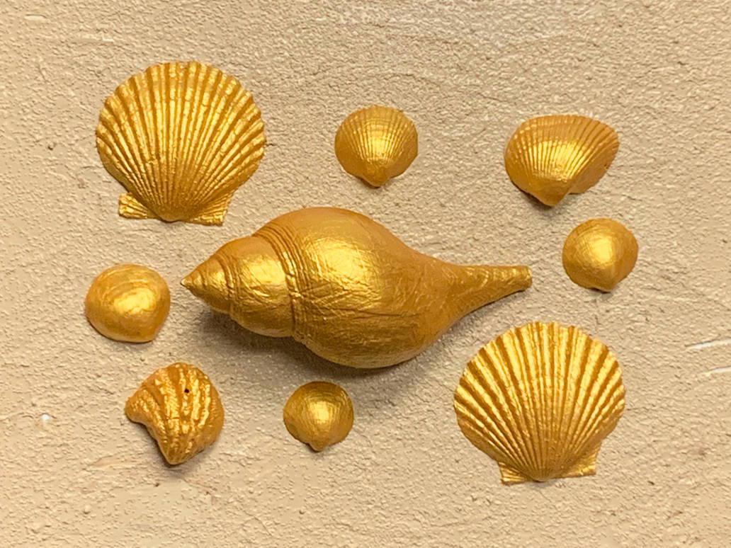 A Frame Of Golden Shells 4 by jonstallion on DeviantArt