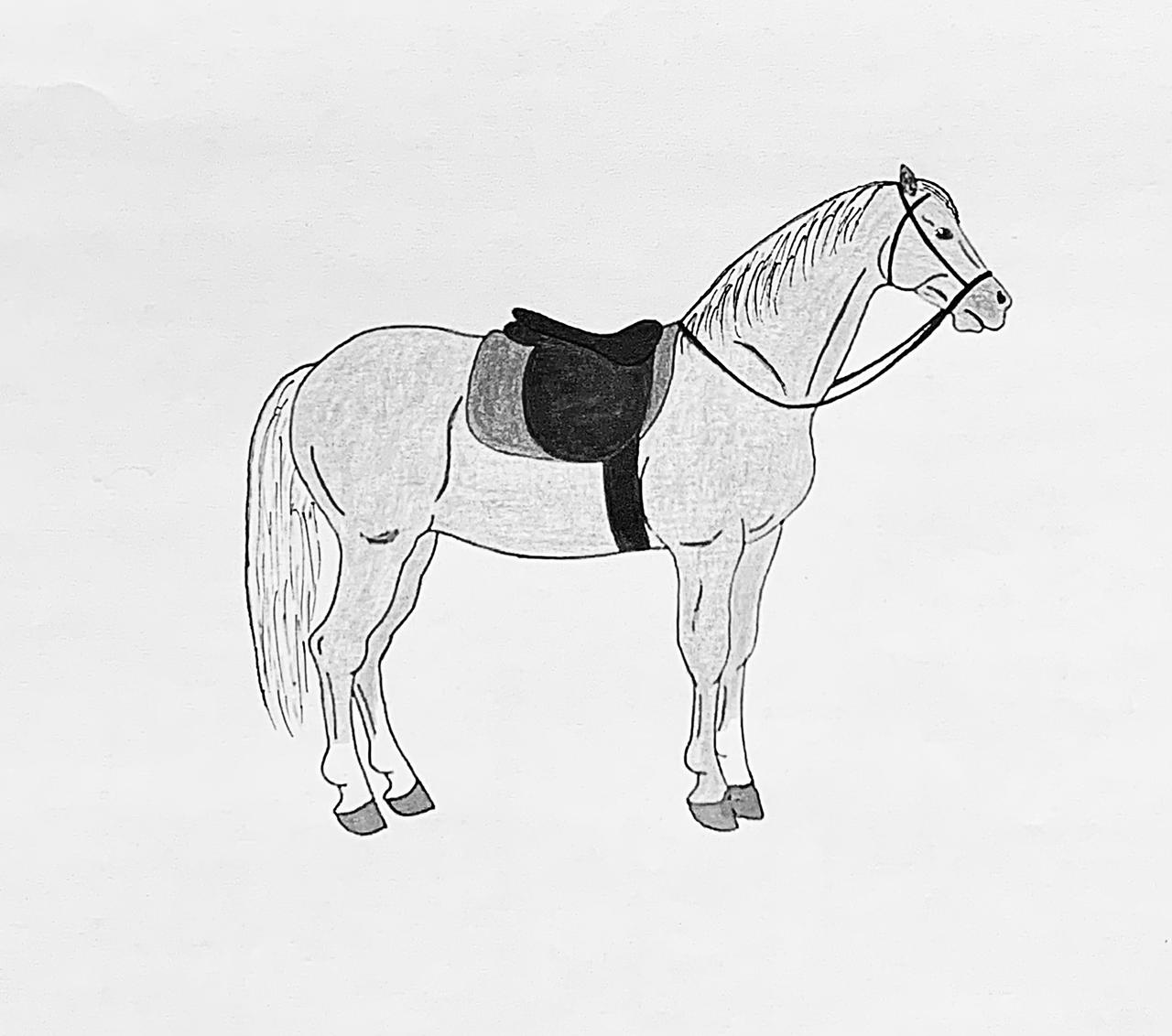 Saddled Horse by jonstallion on DeviantArt