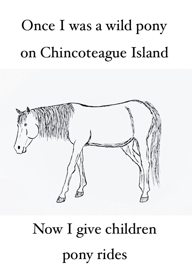 Once I Was A Wild Pony by jonstallion on DeviantArt