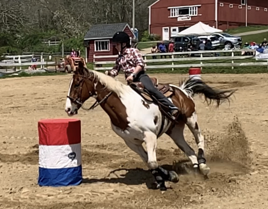 Barrel Racing Pinto 3 by jonstallion on DeviantArt