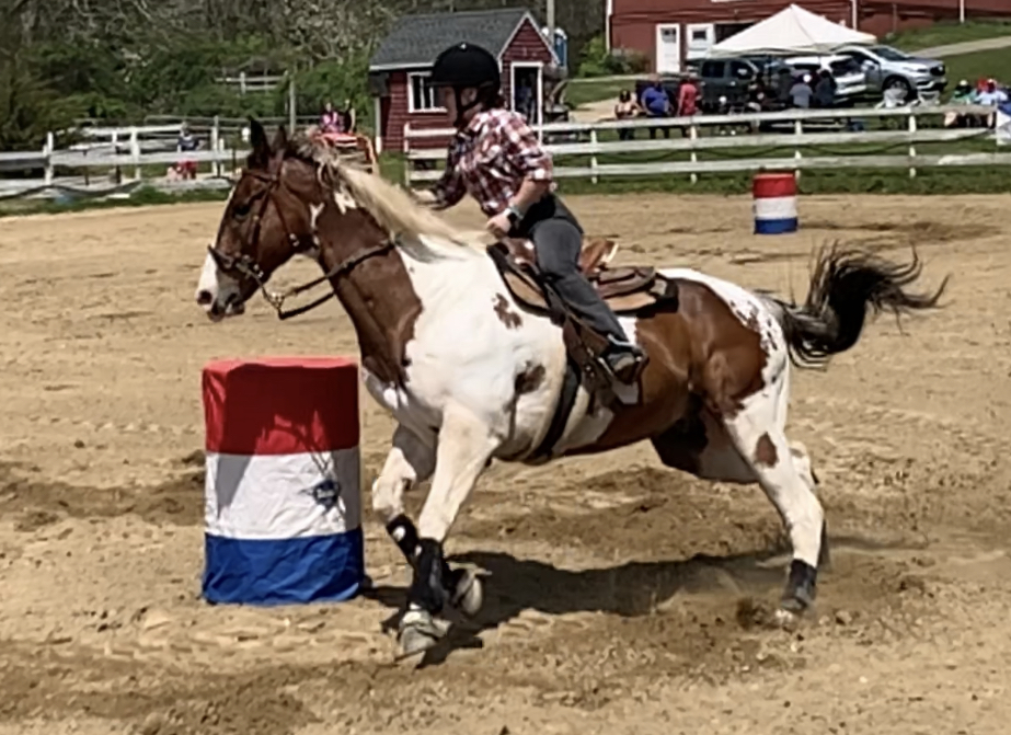 Barrel Racing Pinto 4 by jonstallion on DeviantArt
