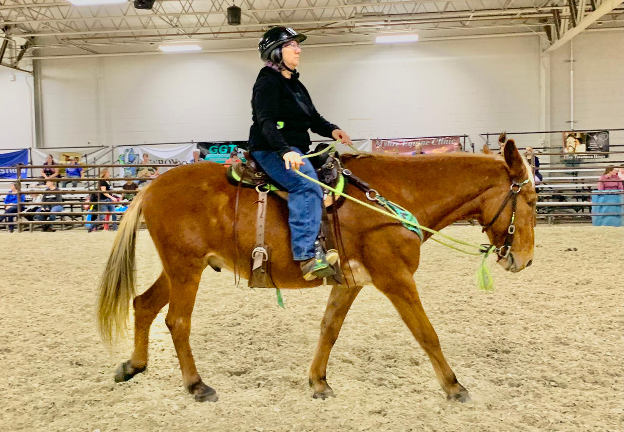 Equestrian Riding a Flaxen Chestnut Mule 1 by jonstallion on DeviantArt