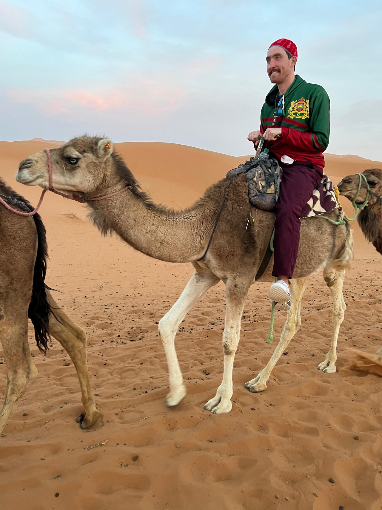 Osama Riding Camel Riding A Camel On The Sahara Desert 12 by jonstallion on DeviantArt