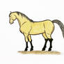 Buckskin Horse Drawing 5