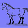 Horse In Blue-Purple 