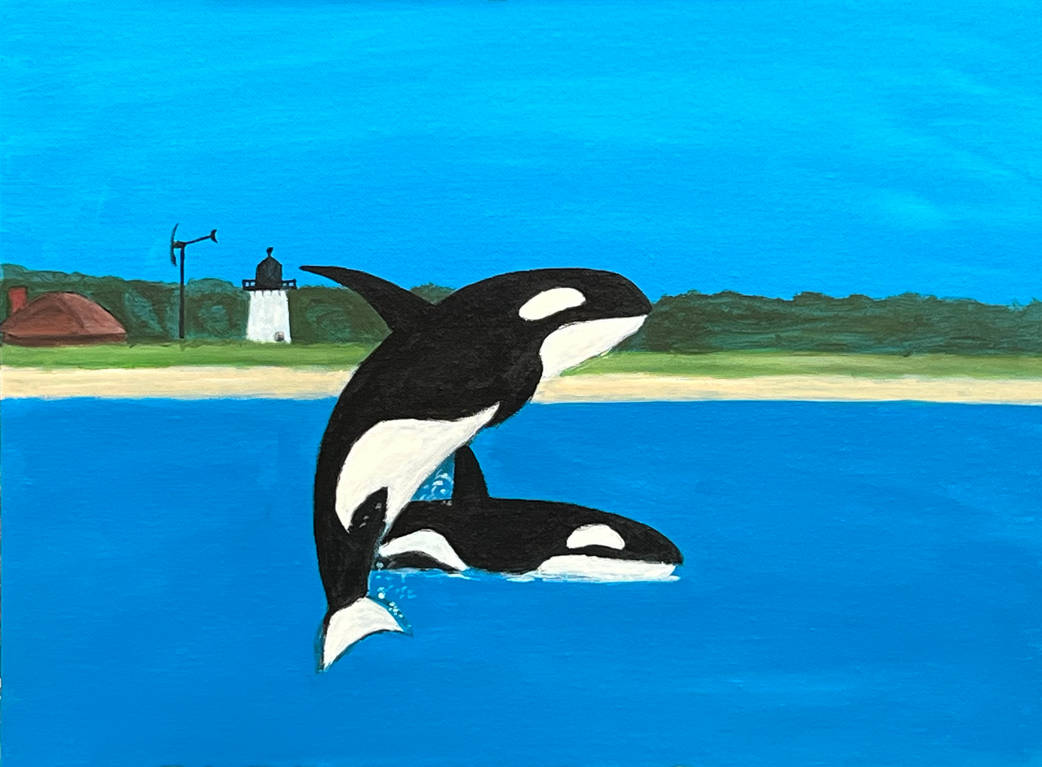 Killer Whales In Provincetown In Progress By Jonstallion On DeviantArt killer-whales-in-provincetown-in-progress-by-jonstallion-on-deviantart