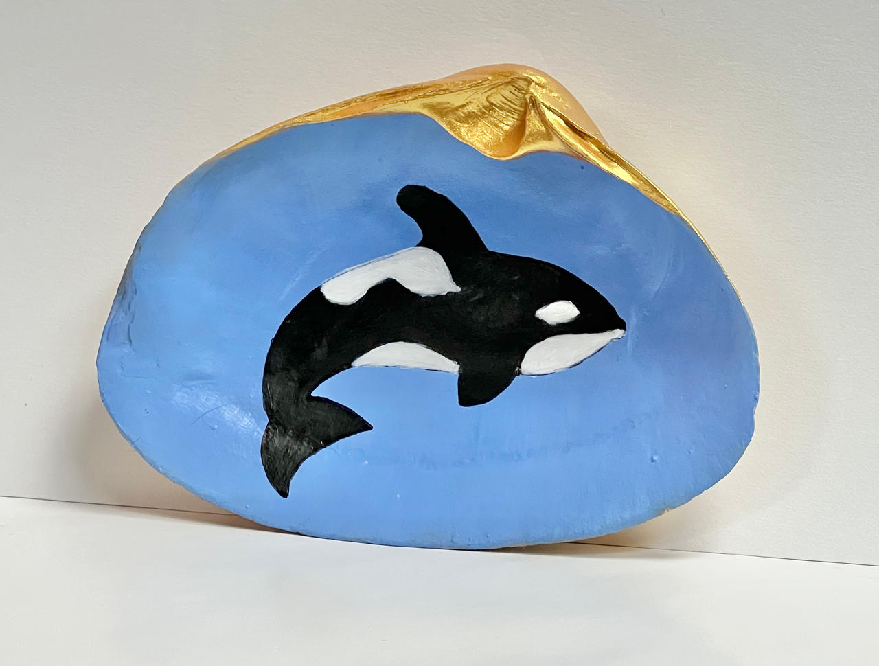 Shell Orca Orca In A Shell by jonstallion on DeviantArt