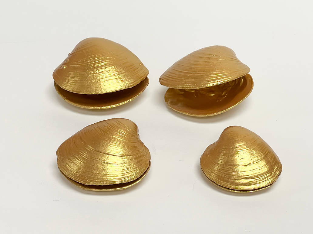 Kalmas Shells Golden Clam Shells Collection 2 by jonstallion on DeviantArt