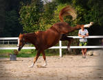 Powerfull kick by SKSfoto