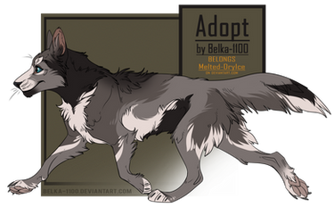 Canine Adopt  - closed