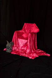 Red Satin Throne
