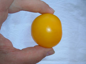 yellow tomato