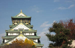 Another Osaka Castle View