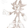 Shadow Sonic Riders style