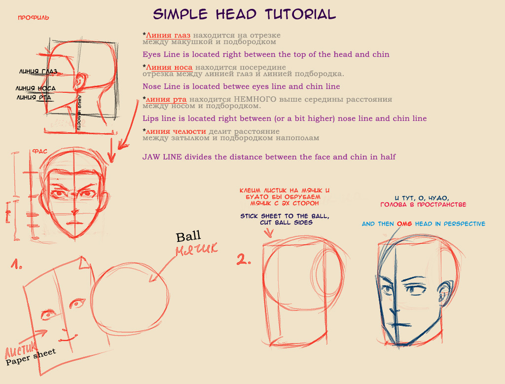 Simple head tutorial